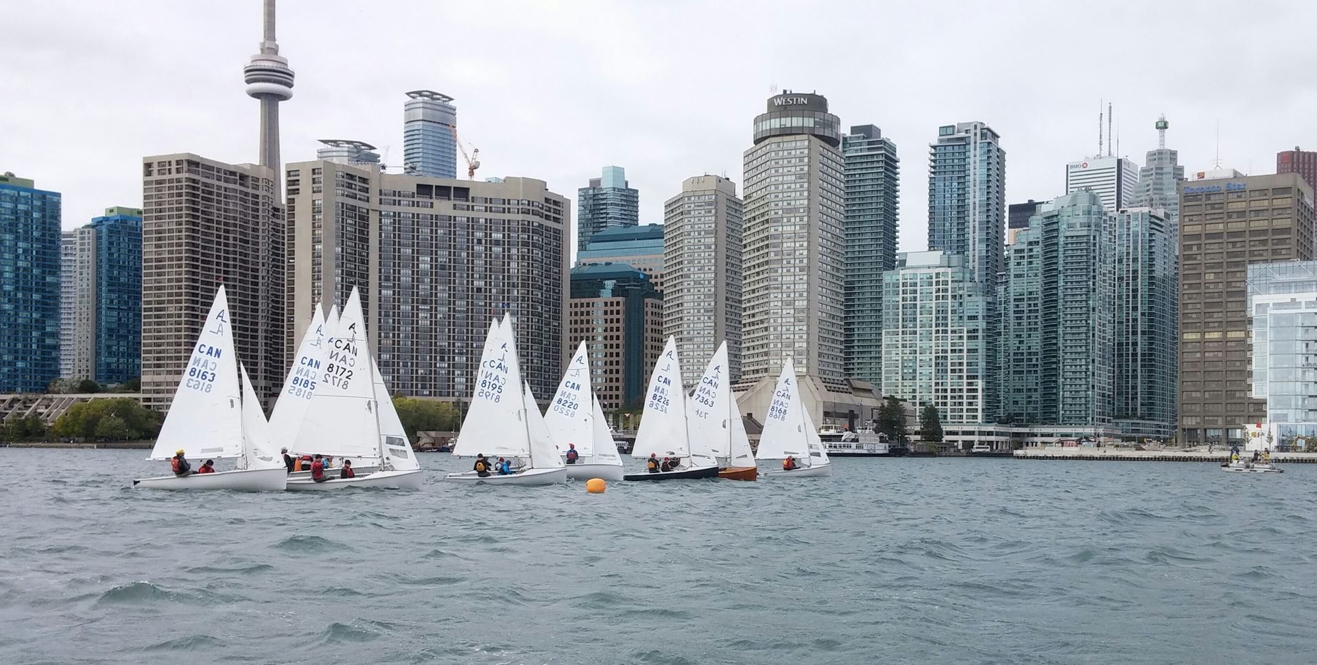 sailboats in Toronto inner harbour